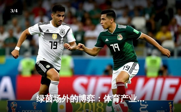 绿茵场外的博弈：体育产业数字化转型如何重塑观赛与参与生态 - 3